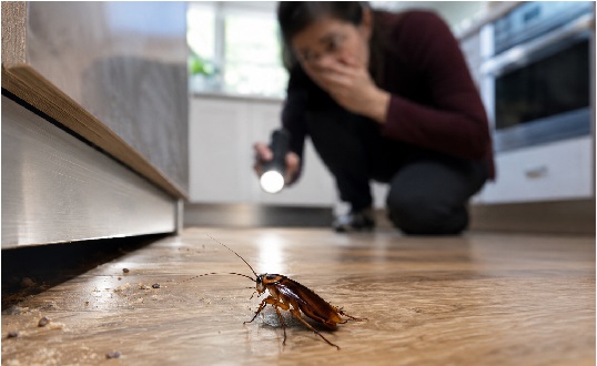 Woman startled by cockroach in kitchen