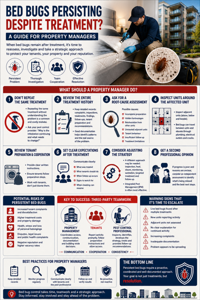 Infographic for property managers explaining what to do when bed bugs persist after treatment, including reviewing treatment history, identifying root causes, inspecting adjacent units, improving tenant cooperation, adjusting treatment strategies, seeking a second professional opinion, documenting activity, and monitoring for signs that escalation is needed.