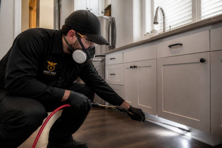 Emergency Pest Removal Services: A 2026 Guide